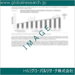 グローバルリサーチ調査資料のイメージ